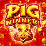 PIG WINNER